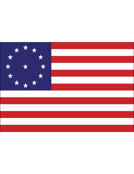 Cowpens 3' x 5' Outdoor Nylon Flag