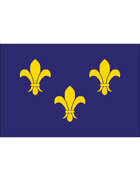 Fleur-De-Lis (Blue3) 3' x 5' Outdoor Nylon Flag