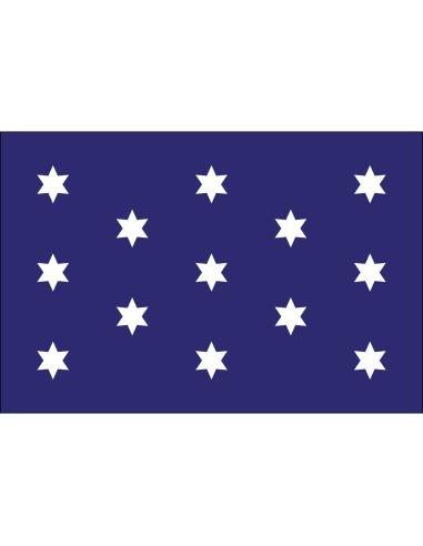 Washington's Commander-in-Chief 3' x 5' Outdoor Nylon Flag