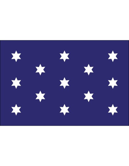 Washington's Commander-in-Chief 3' x 5' Outdoor Nylon Flag