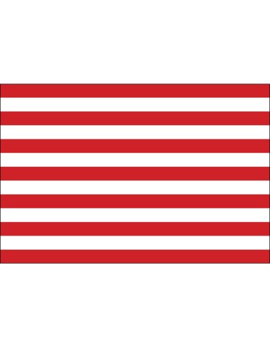 Sons of Liberty 3' x 5' Outdoor Nylon Flag