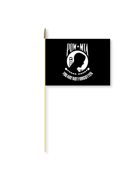 POW-MIA 12"x18" Mounted Flag