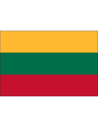 Lithuania 2' x 3' Indoor International Polyester Flag | Buy Online