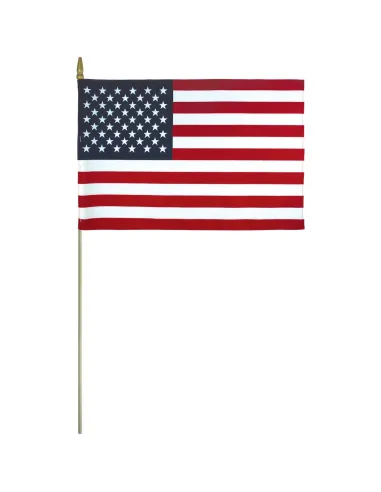 United States Mounted Flag 12" x 18"| Buy Online Now