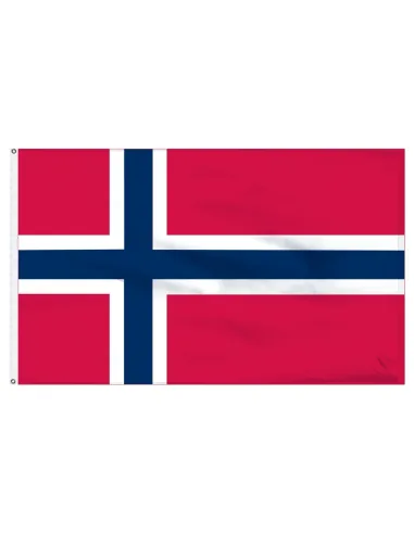 Norway 2' x 3' Indoor International Polyester Flag | Buy Online