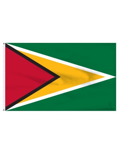 Guyana 3' x 5' Outdoor Nylon Flag