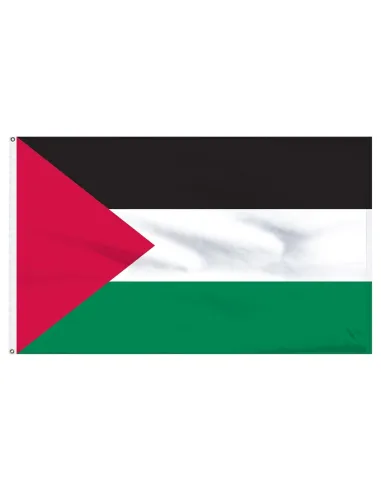 Palestinians 2' x 3' Indoor International Polyester Flag | Buy Online