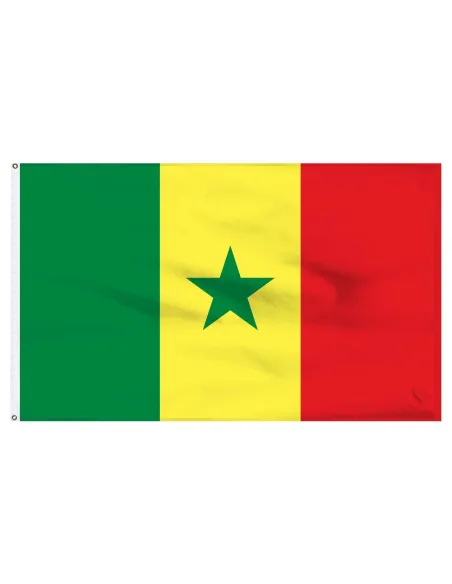 Senegal 2' x 3' Light Weight Polyester