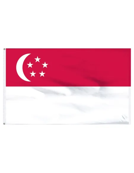 Singapore 2' x 3' Light Weight Polyester