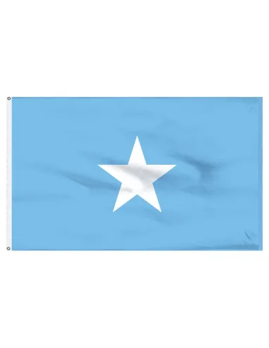 Somalia 2' x 3' Indoor International Polyester Flag | Buy Online