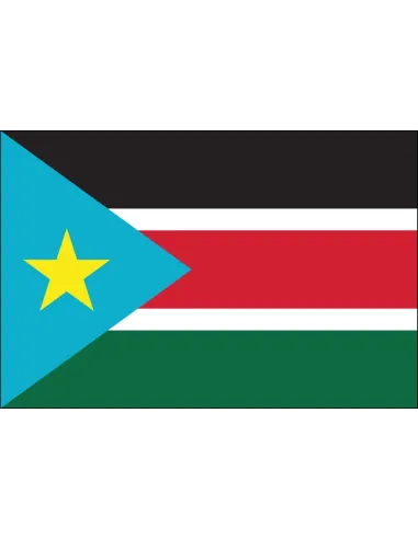 South Sudan 2' x 3' Indoor International Polyester Flag | Buy Online