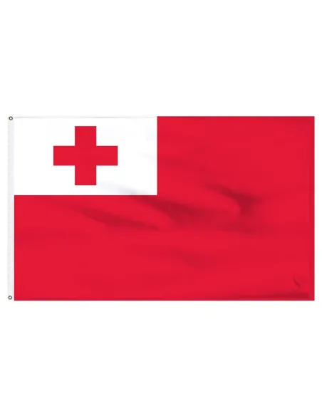 Tonga 2' x 3' Light Weight Polyester