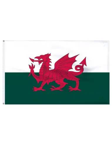 Wales 2' x 3' Indoor International Polyester Flag | Buy Online