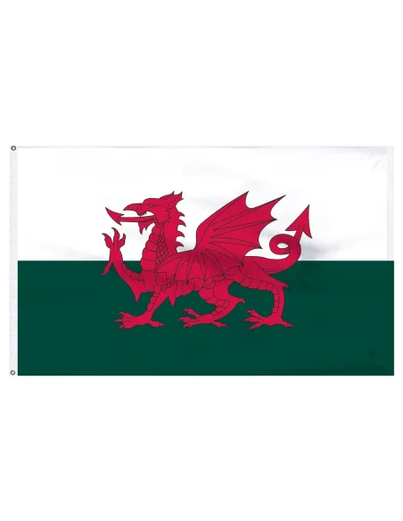 Wales 2' x 3' Light Weight Polyester