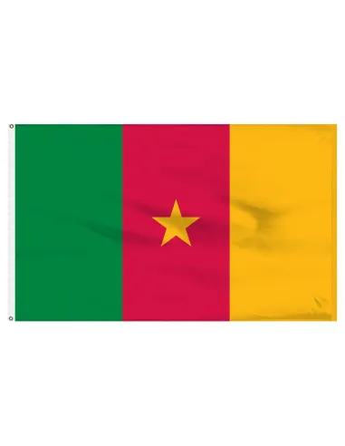 Cameroon 3' x 5' Indoor International Polyester Flag | Buy Online