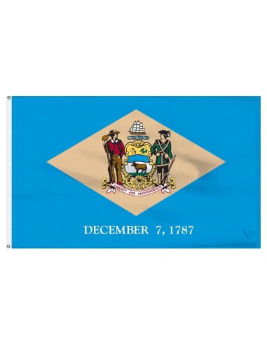 Delaware 2' x 3' Outdoor Nylon Flag | Buy Online