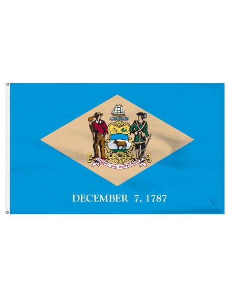 Delaware 2' x 3' Outdoor Nylon Flag