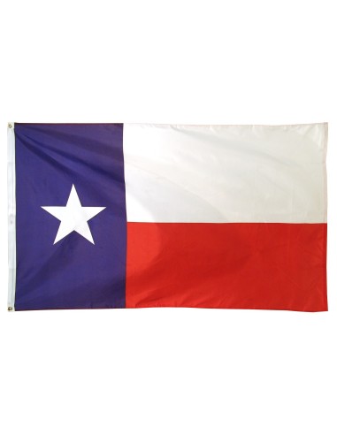 Texas 2' x 3' Outdoor Nylon Flag | Buy Online