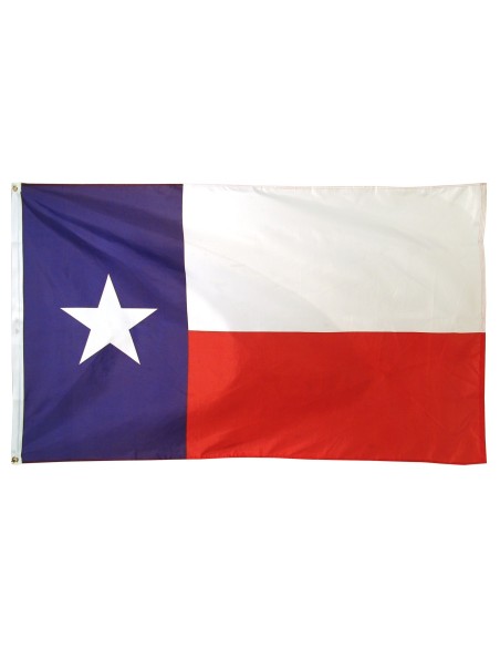 Texas 2' x 3' Outdoor Nylon Flag