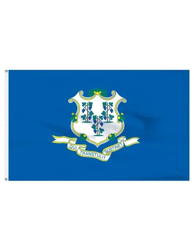 Connecticut 3' x 5' Outdoor Nylon Flag | Buy Online