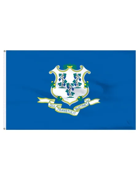 Connecticut 3' x 5' Outdoor Nylon Flag