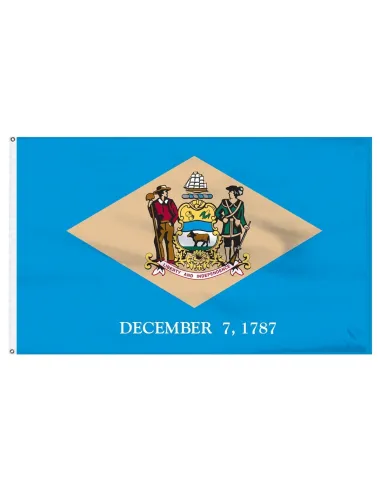 Delaware 3' x 5' Outdoor Nylon Flag | Buy Online