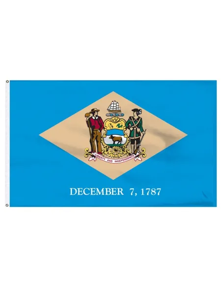 Delaware 3' x 5' Outdoor Nylon Flag