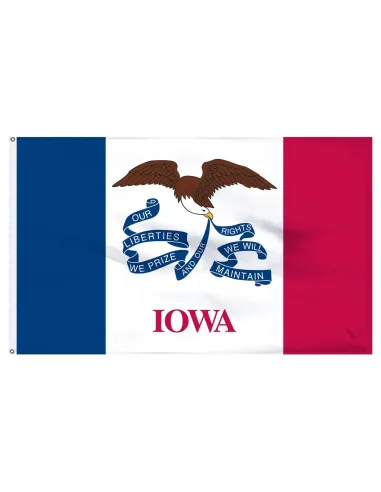 Iowa 3' x 5' Outdoor Nylon Flag | Buy Online