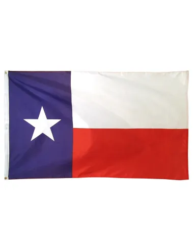 Texas 3' x 5' Outdoor Nylon Flag | Buy Online