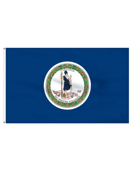 Virginia 3' x 5' Outdoor Nylon Flag