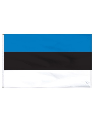 Estonia 3' x 5' Indoor International Polyester Flag | Buy Online