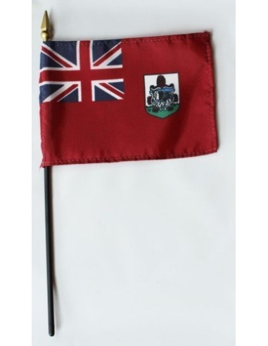 Bermuda Mounted Flags 4" x 6"| Buy Online Now