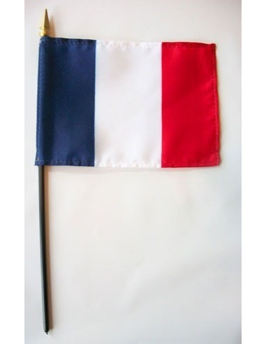 France Mounted Flags 4" x 6"| Buy Online Now