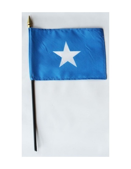 Somalia 4" x 6" Mounted Flags