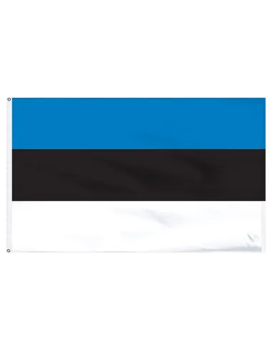 Estonia 2' x 3' Indoor International Polyester Flag | Buy Online