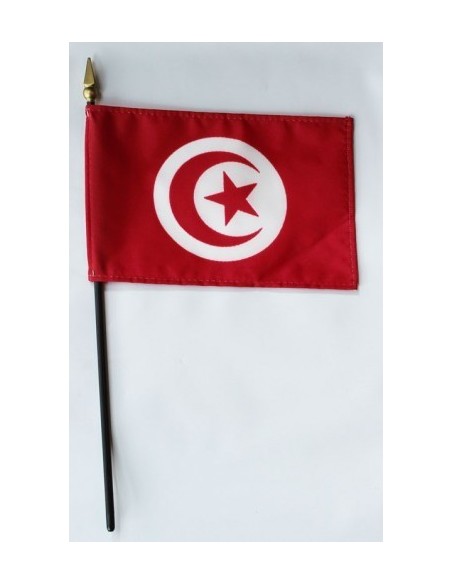 Tunisia 4" x 6" Mounted Flags