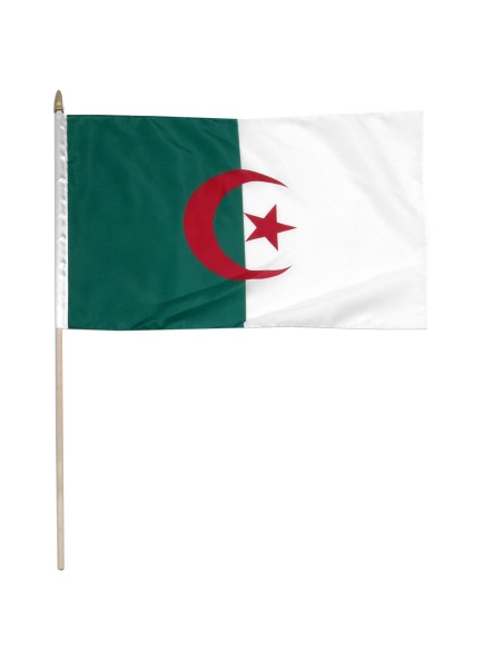 Algeria 12" x 18" Mounted Flag