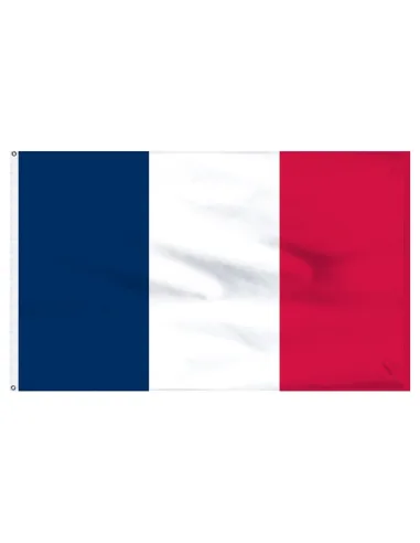 France 2' x 3' Indoor International Polyester Flag | Buy Online