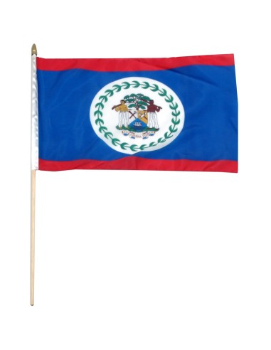 Belize Mounted Flag 12" x 18"| Buy Online Now