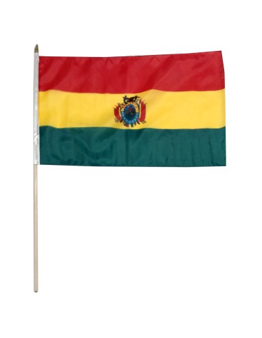 Bolivia 12" x 18" Mounted Flag