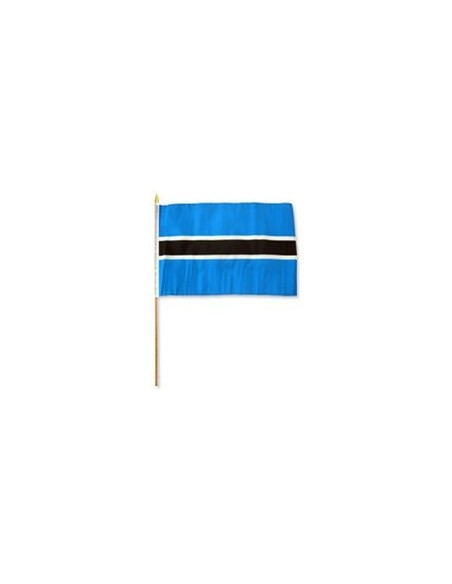 Botswana 12" x 18" Mounted Flag