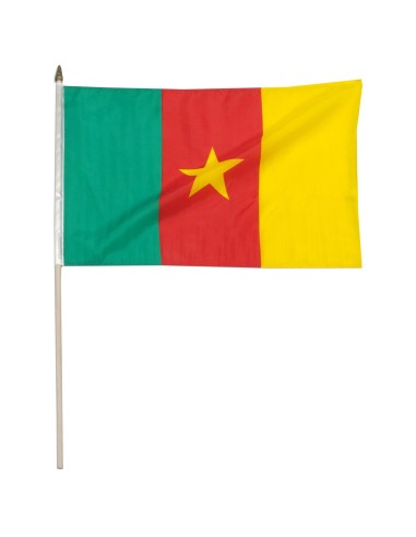 Cameroon Mounted Flag 12" x 18"| Buy Online Now