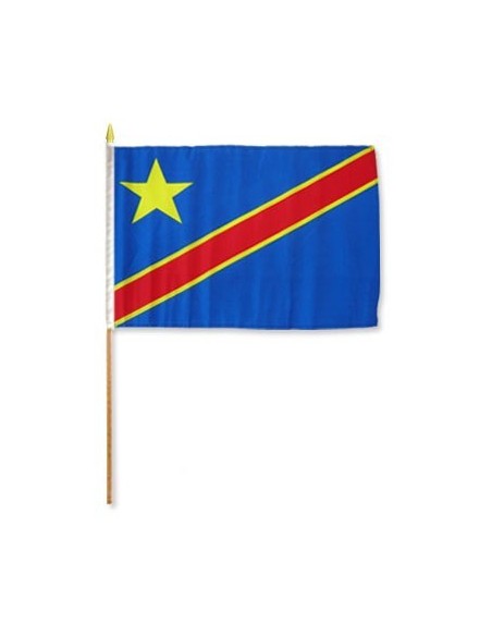 Dem Republic of Congo 12" x 18" Mounted Flag