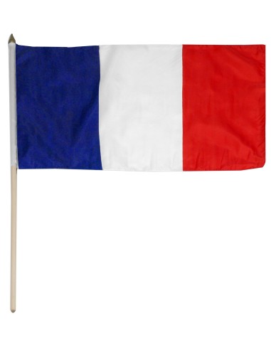 France Mounted Flag 12" x 18"| Buy Online Now