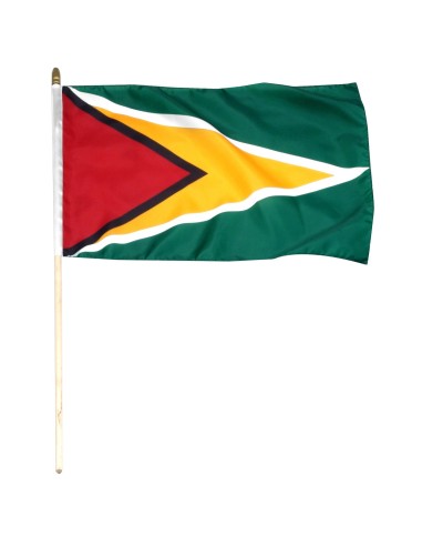 Guyana Mounted Flag 12" x 18"| Buy Online Now