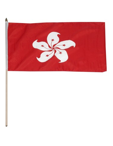 Hong Kong Mounted Flag 12" x 18"| Buy Online Now