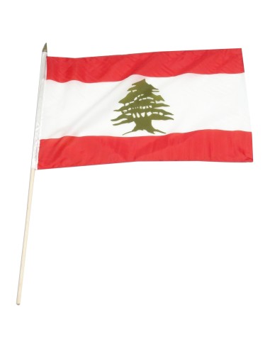 Lebanon Mounted Flag 12" x 18"| Buy Online Now