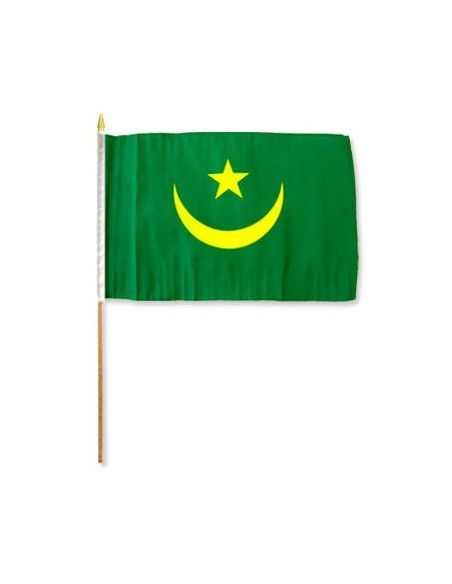 Mauritania 12" x 18" Mounted Flag