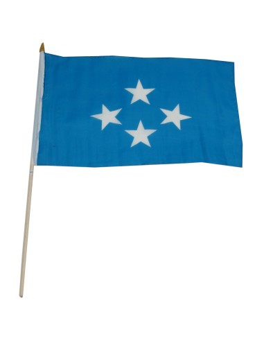 Micronesia Mounted Flag 12" x 18"| Buy Online Now