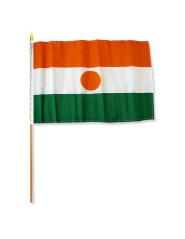 Niger Mounted Flag 12" x 18"| Buy Online Now